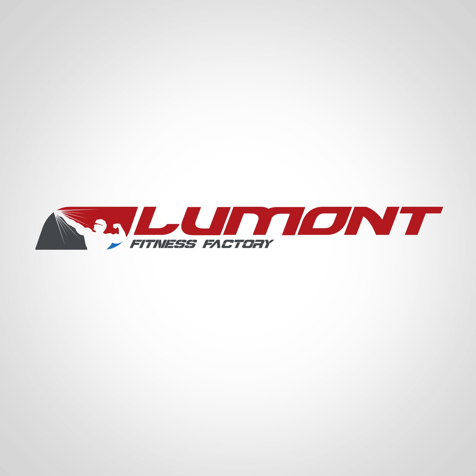13 logo lumont